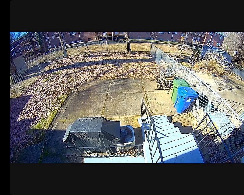 backyard ring camera view