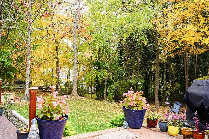 Furnished Finder property 453925_1 photo 24