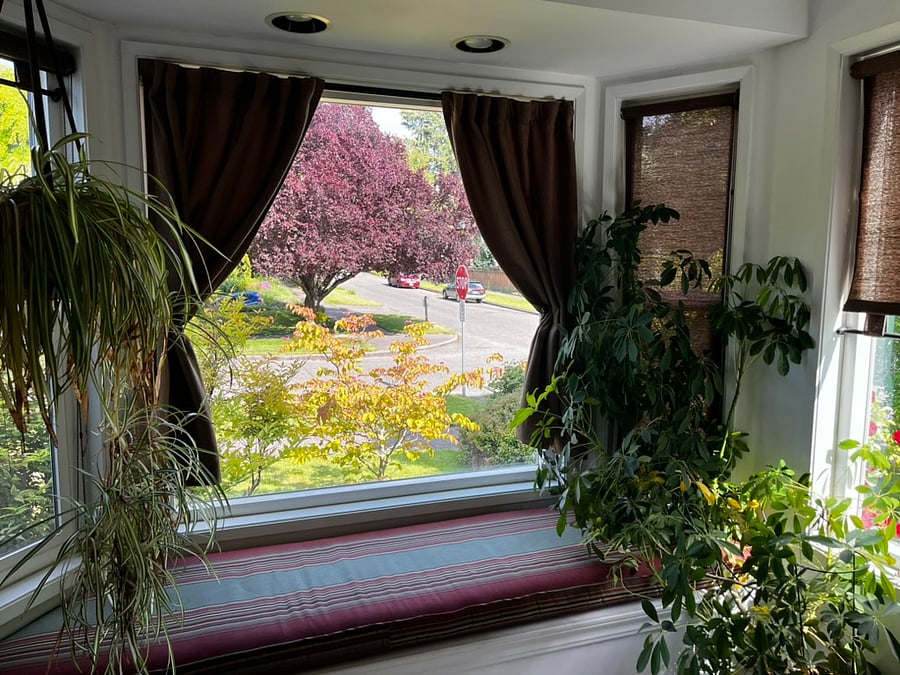 Furnished Finder property 454036_1 photo 5