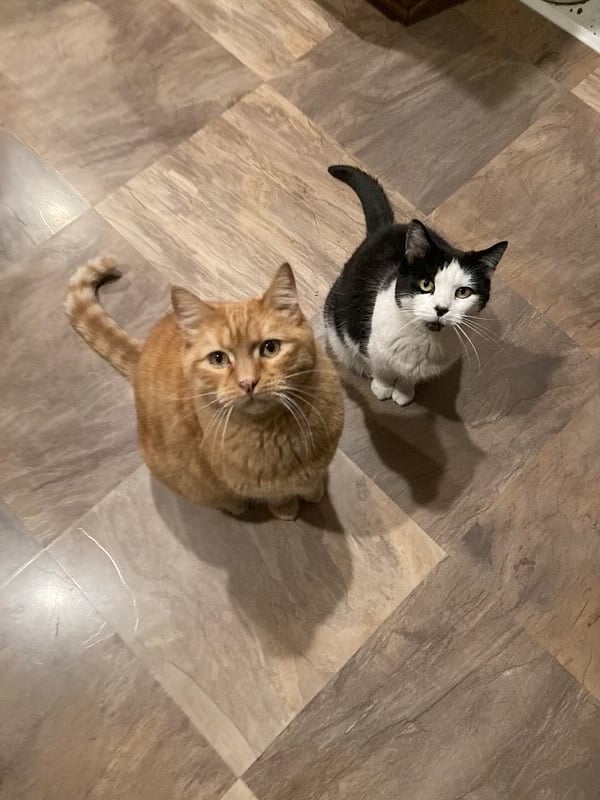 Colby and Hope