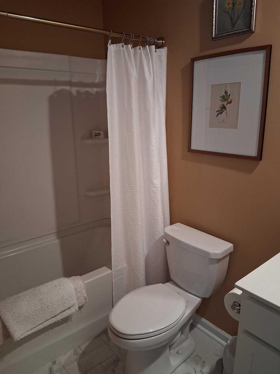 Furnished Finder property 454154_2 photo 10