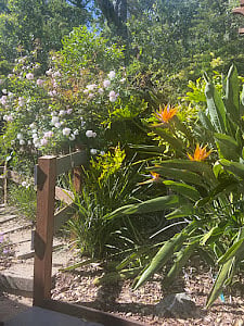 Door way opens to a display of seasonal greenery & flower garden.