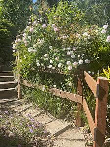 Private entrance opens to a lovely seasonal garden.