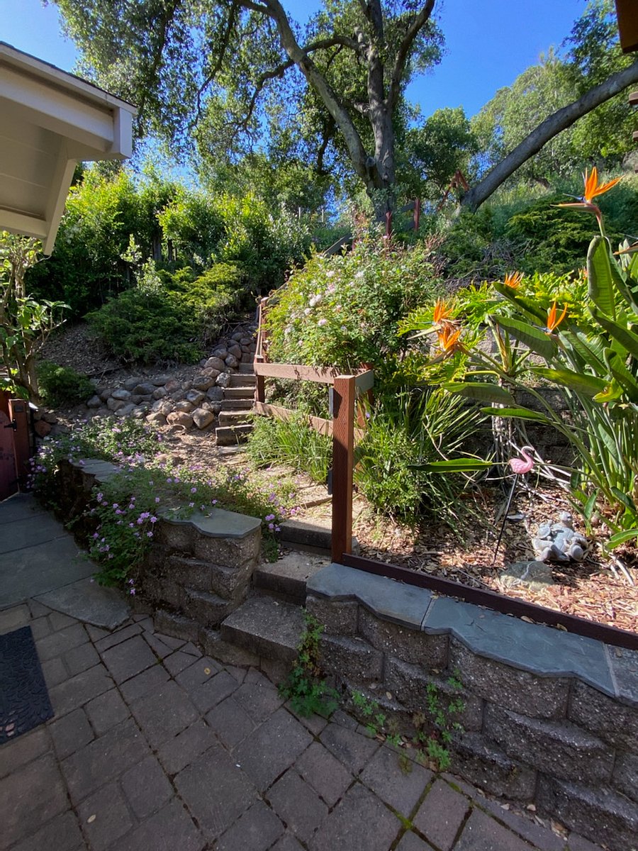 Furnished Finder property 454183_2 photo 21