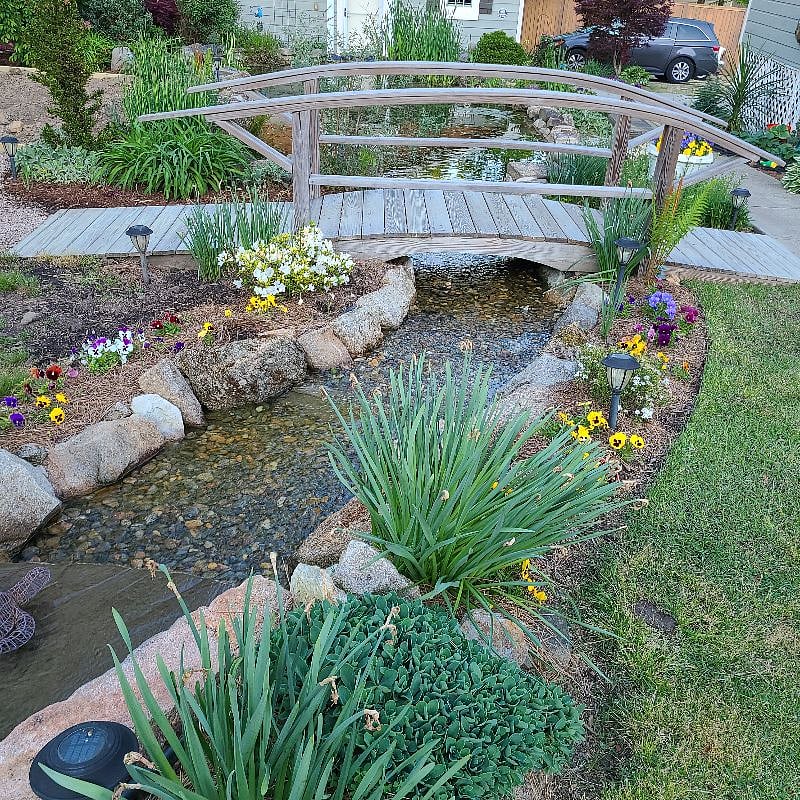 Stream 