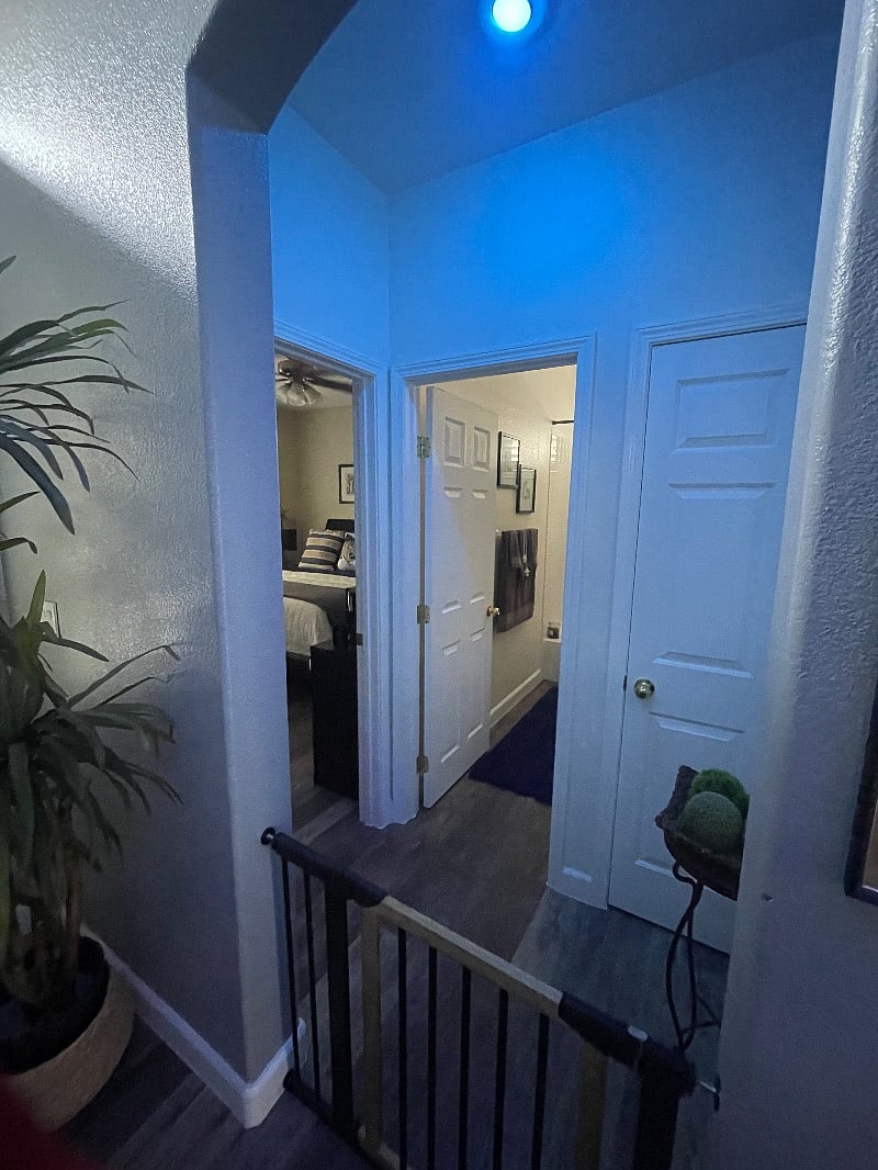 Furnished Finder property 454259_1 photo 8