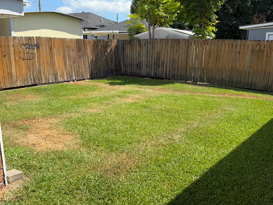 Furnished Finder property 454303_1 photo 42