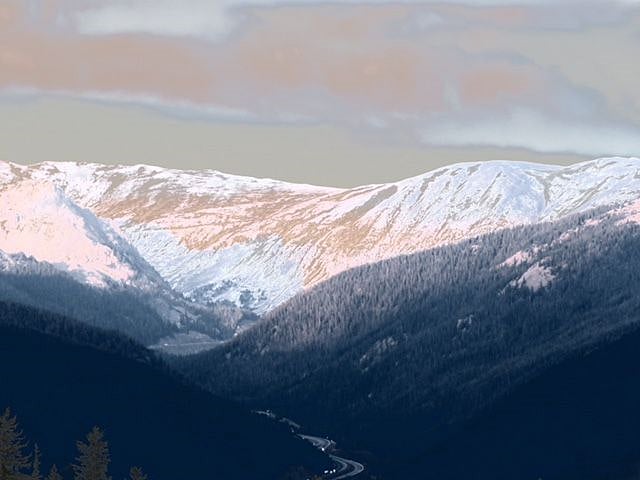 Snowy View
