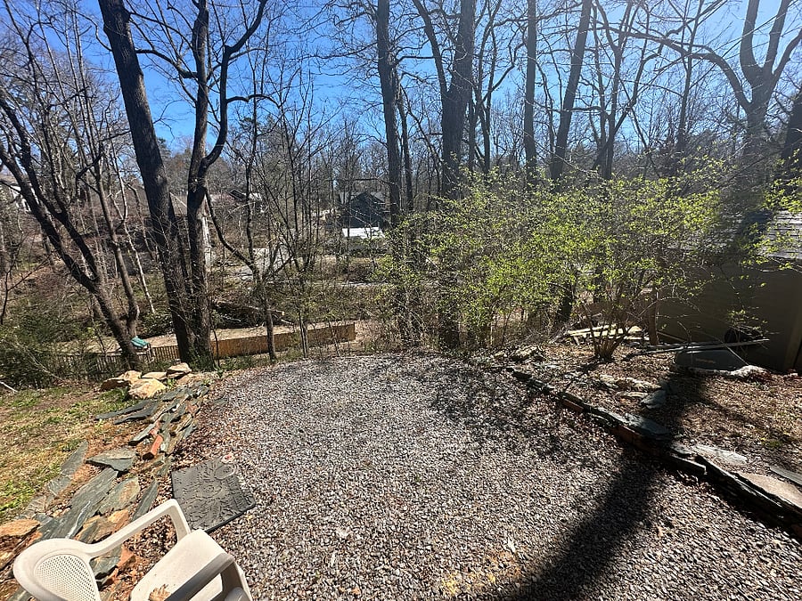 Early-early spring