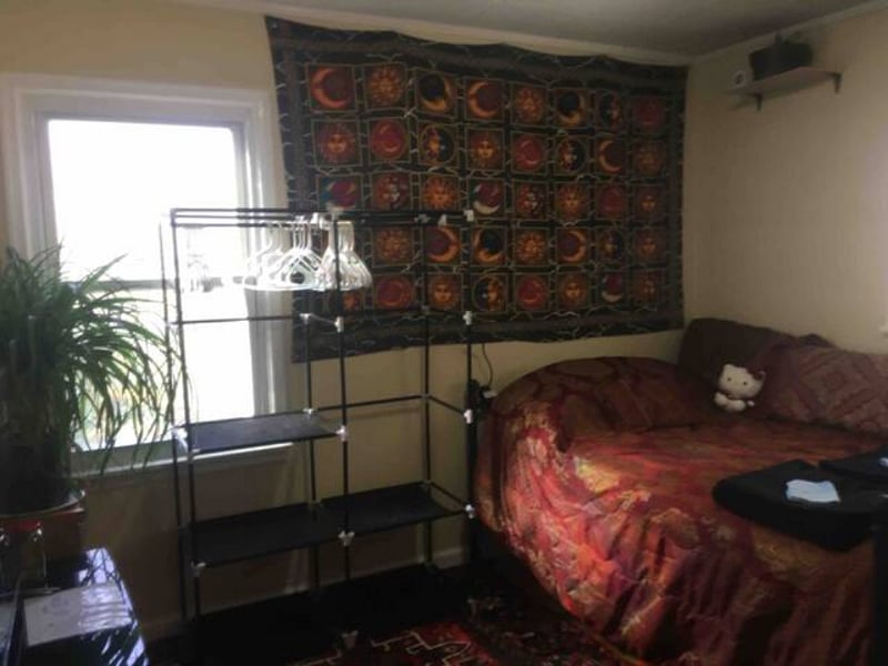 Furnished Finder property 454607_1 photo 6