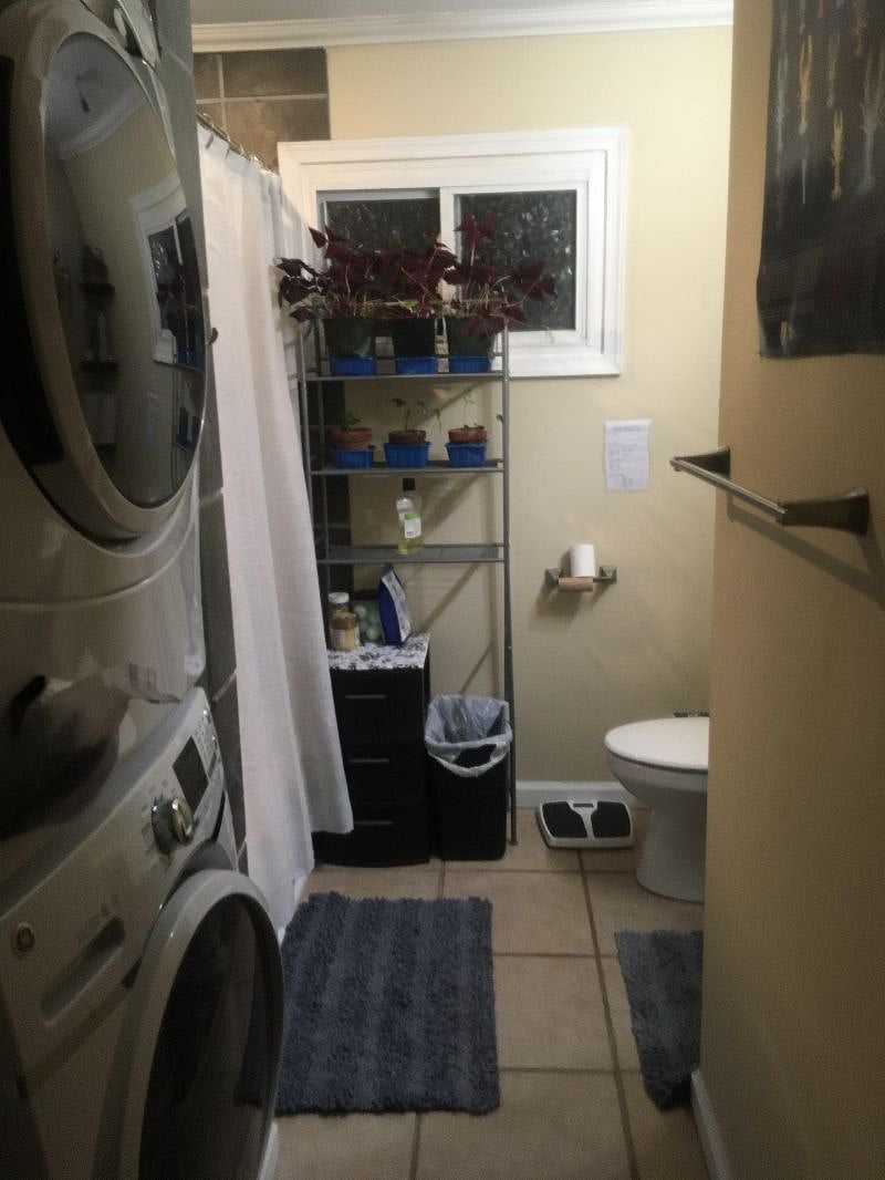 Furnished Finder property 454607_1 photo 17
