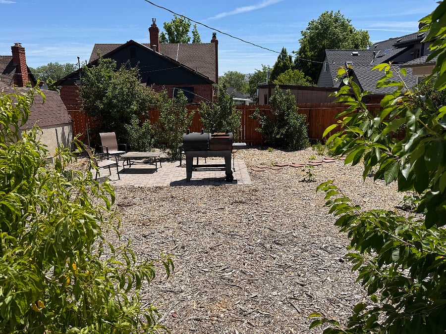 Backyard patio with gas anc charcoal BBQ