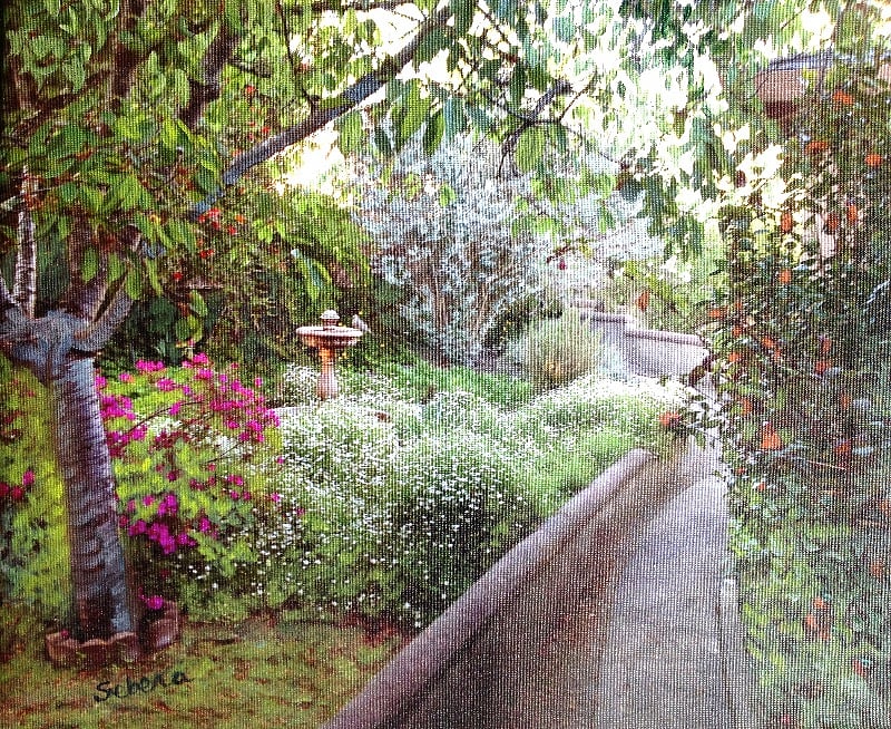 View of the back yard from the studio window
