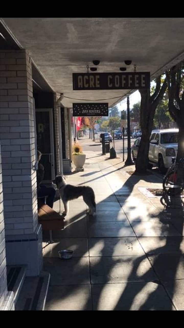 Popular Coffee shops, antique shops