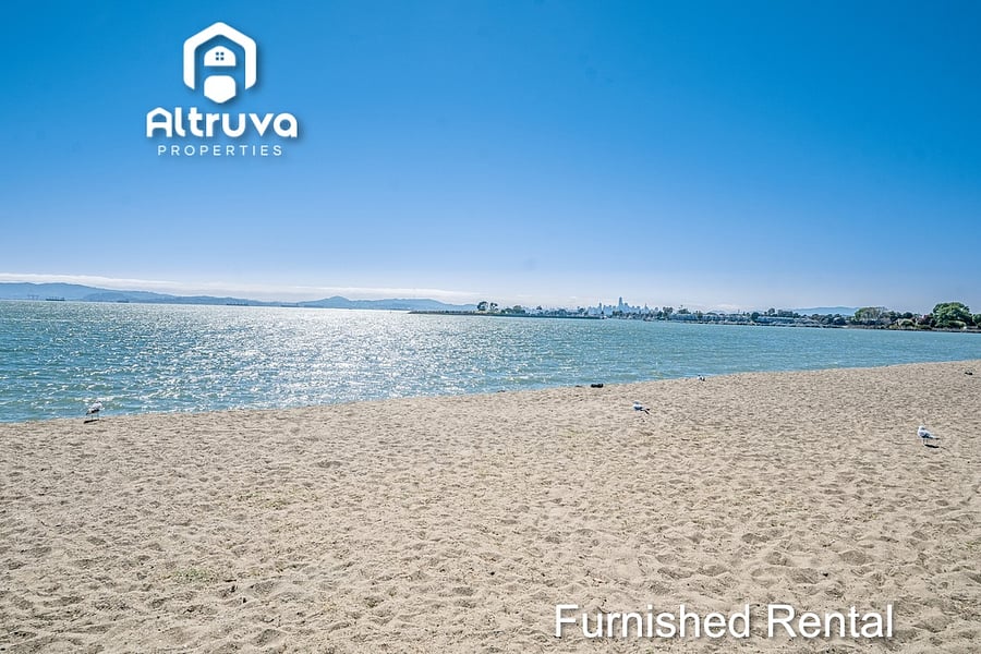 Furnished Finder property 455116_1 photo 22