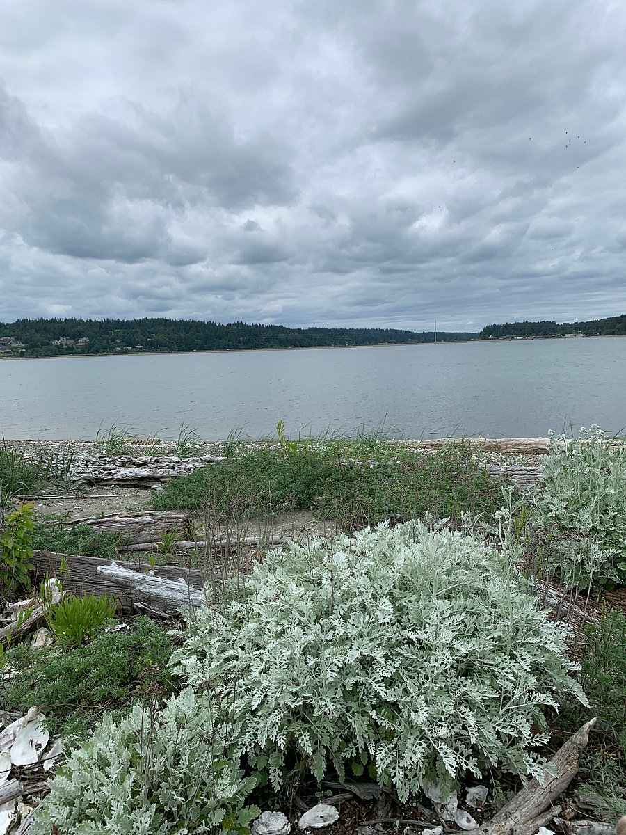 Sandspit for Kayaking