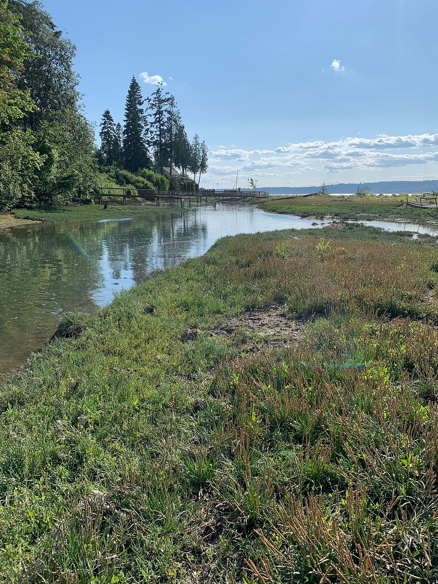 Lagoon