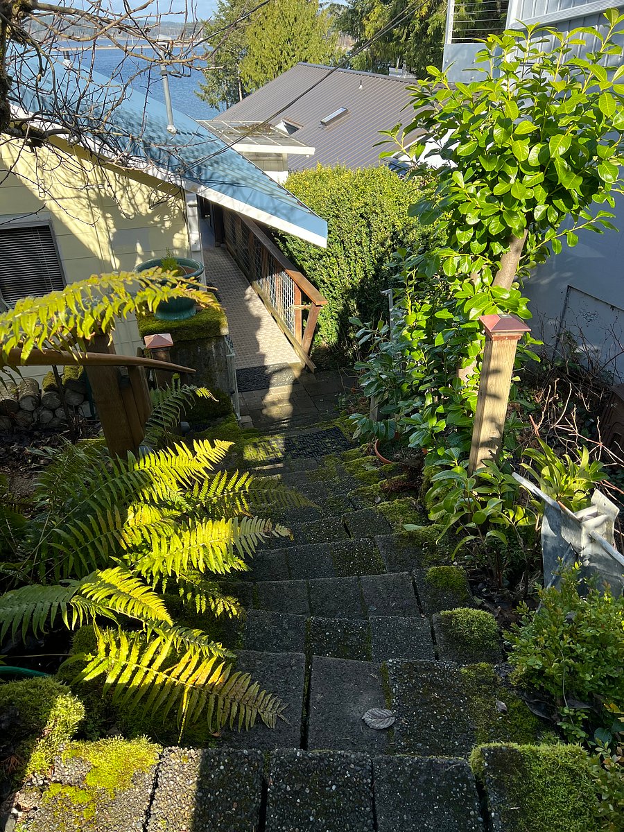 Steps to Upper Floor with Steps to the Right to the Garden Floor