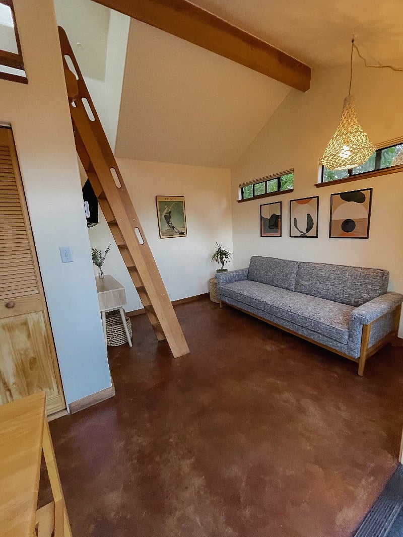 Ladder to loft bedroom. Comfy pull out couch