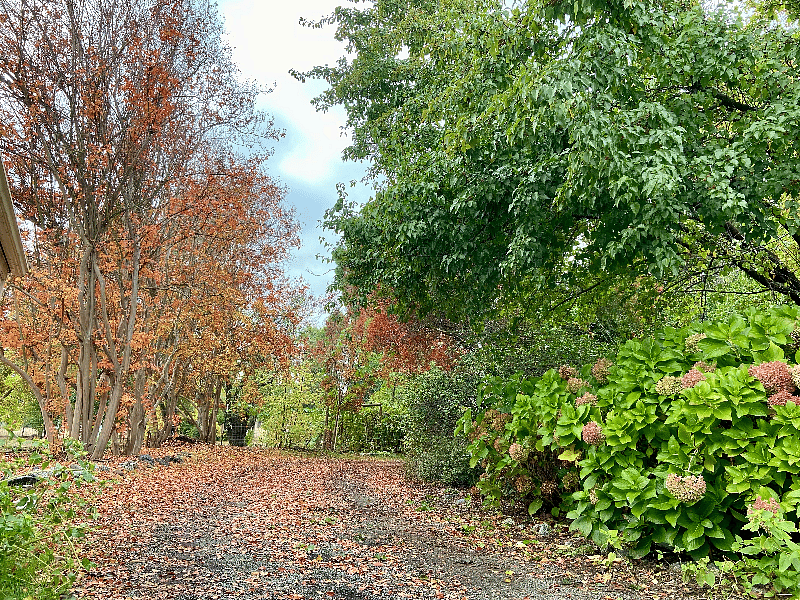 Driveway.