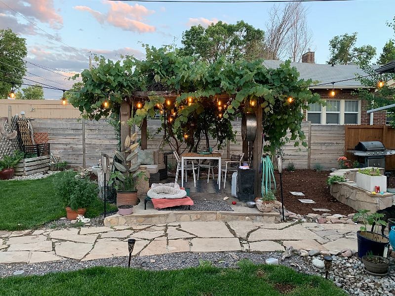 Outside dining pergola, grape vines etc