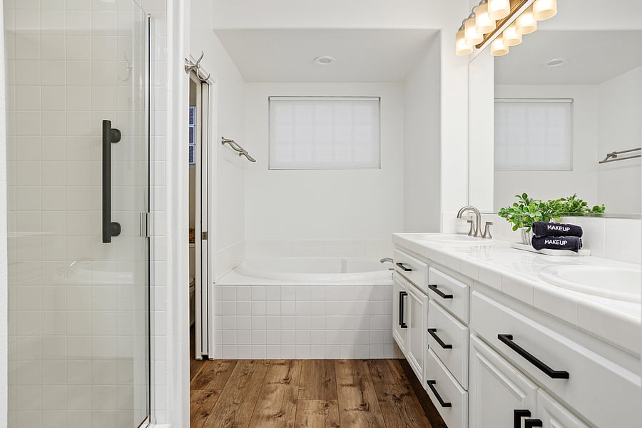 Master bathroom separate shower and soaking bathtub