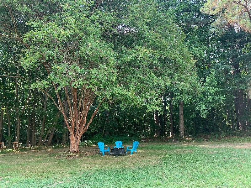 Furnished Finder property 455791_1 photo 25