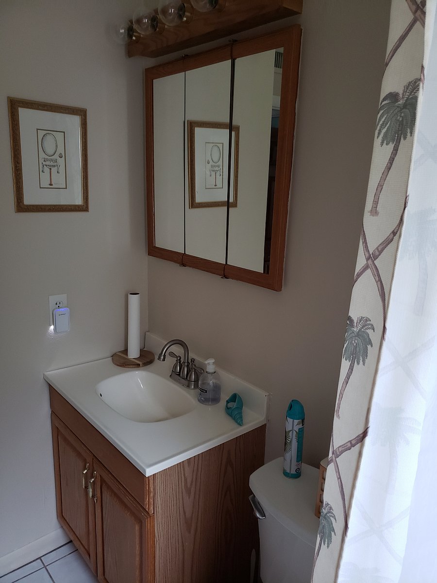 Furnished Finder property 456019_1 photo 18