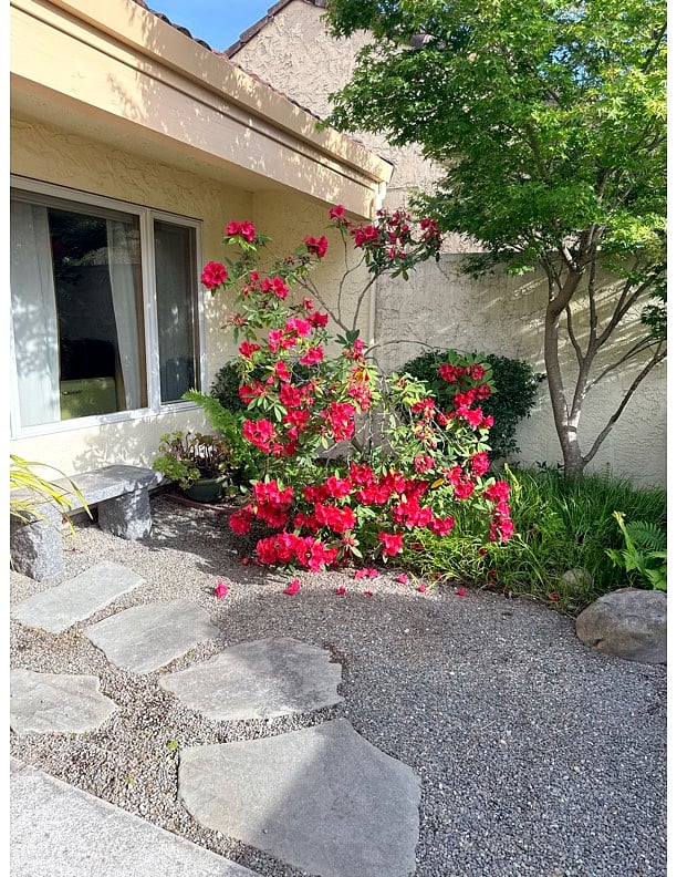 Furnished Finder property 456069_1 photo 15