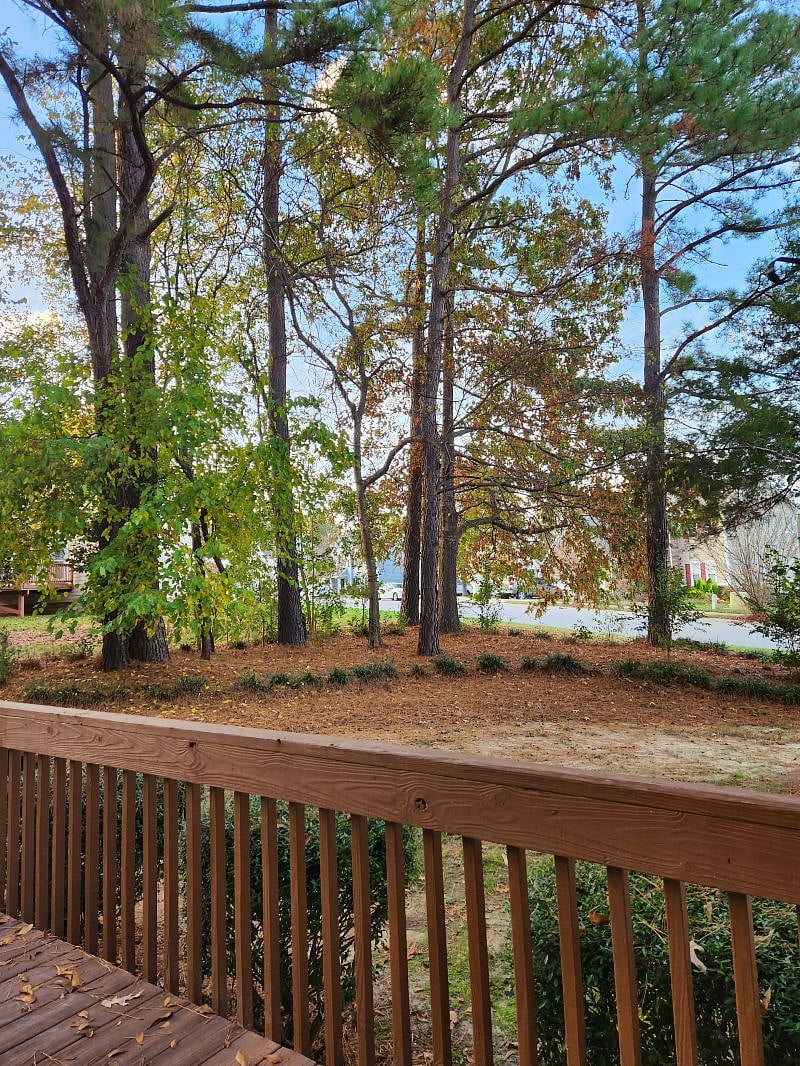Rear Deck/Backyard View