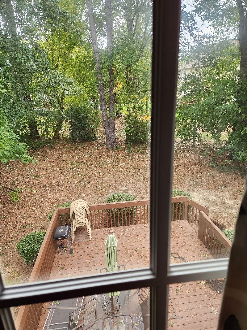 Rear Deck/Backyard View