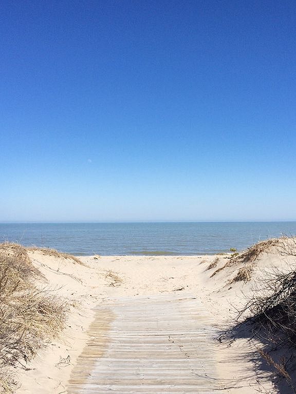 Lake Michigan, 88 steps away. 