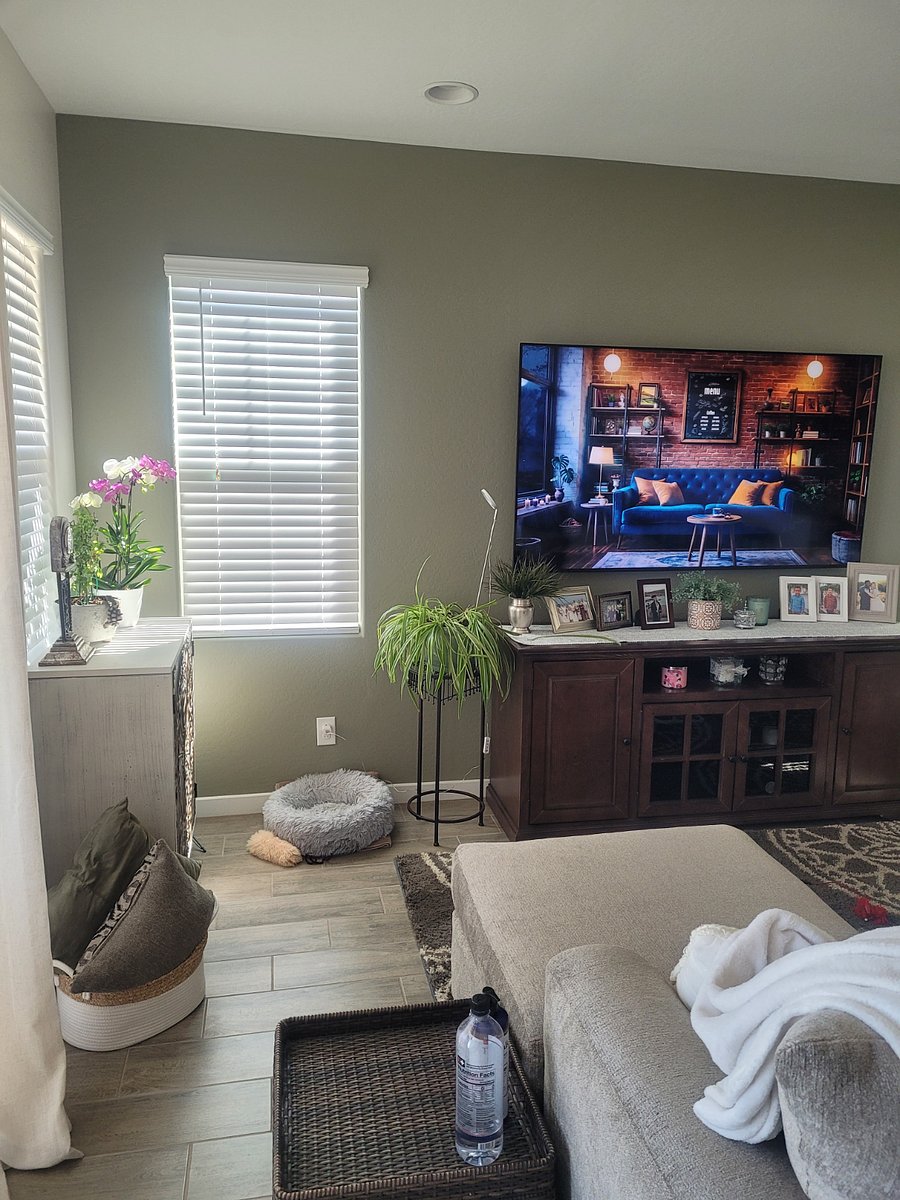 Furnished Finder property 456573_1 photo 28