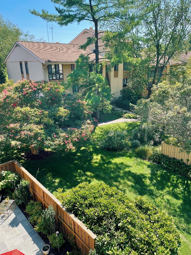 Furnished Finder property 456790_1 photo 14