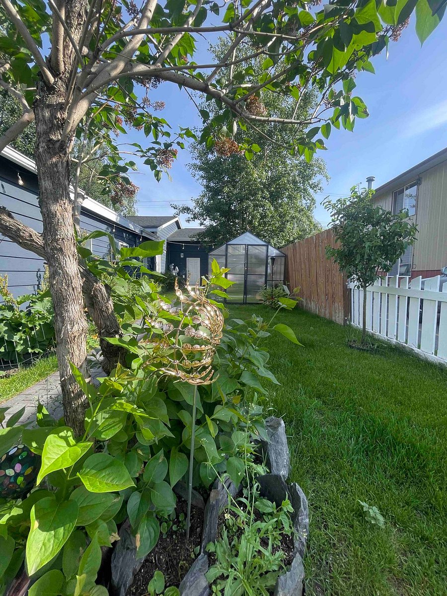 Furnished Finder property 456852_2 photo 17