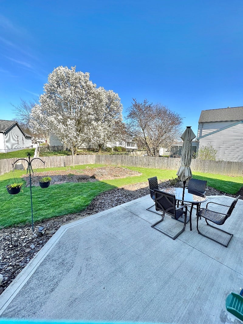 Furnished Finder property 457059_1 photo 8