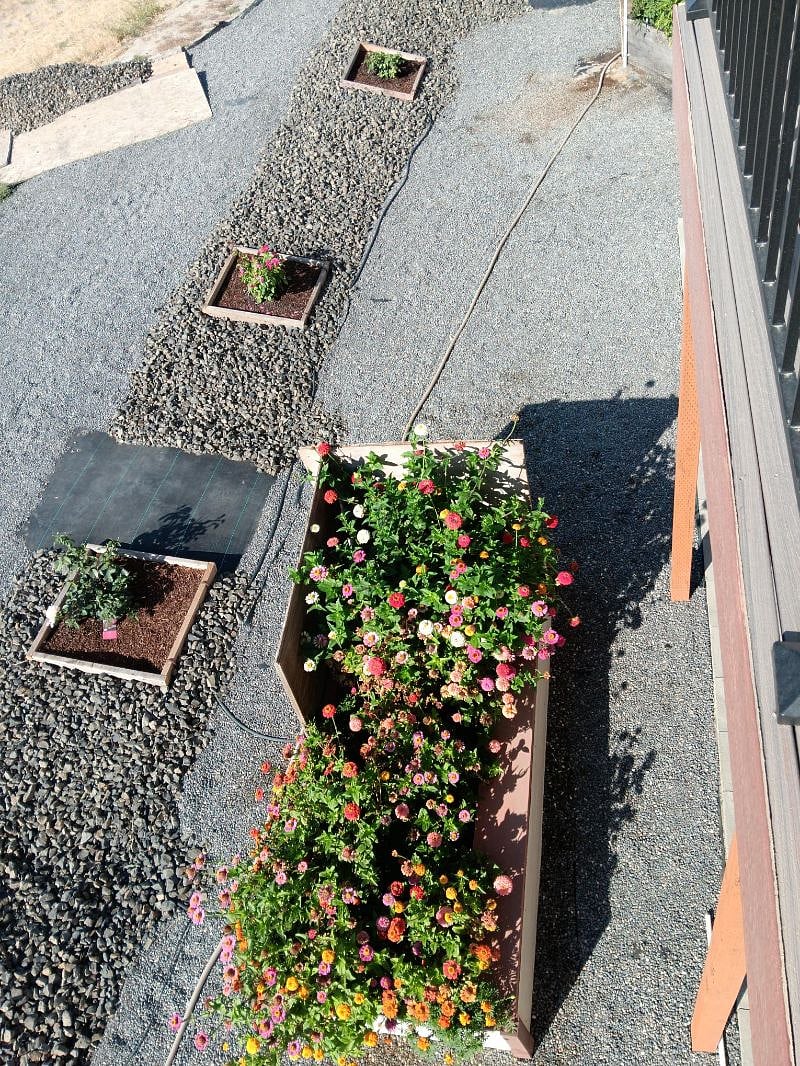Part of our garden area that includes 4 rose bushes, and two raised beds for flowers and vegetables.