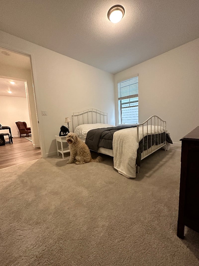 Furnished Finder property 457336_1 photo 6
