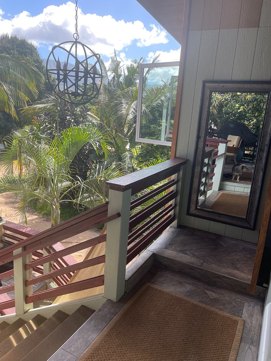 Furnished Finder property 457347_1 photo 13