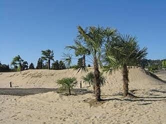Wulfy beach in town is walking distance.