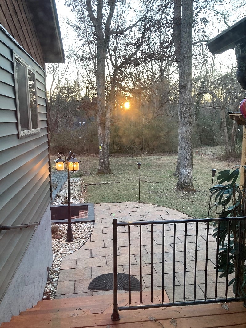 Back patio with covered pergola. Great place to relax