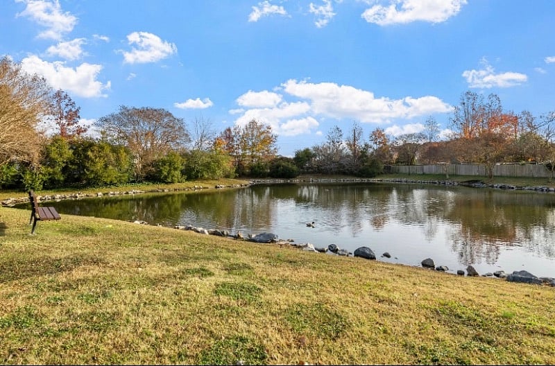 Furnished Finder property 457519_1 photo 17