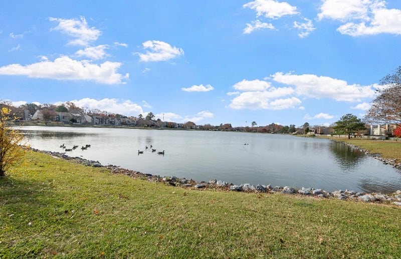 Furnished Finder property 457519_1 photo 19