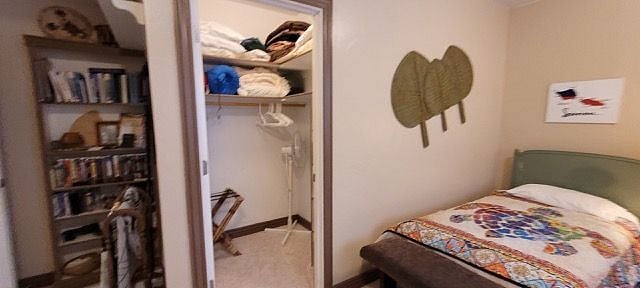 Guest Room Closet