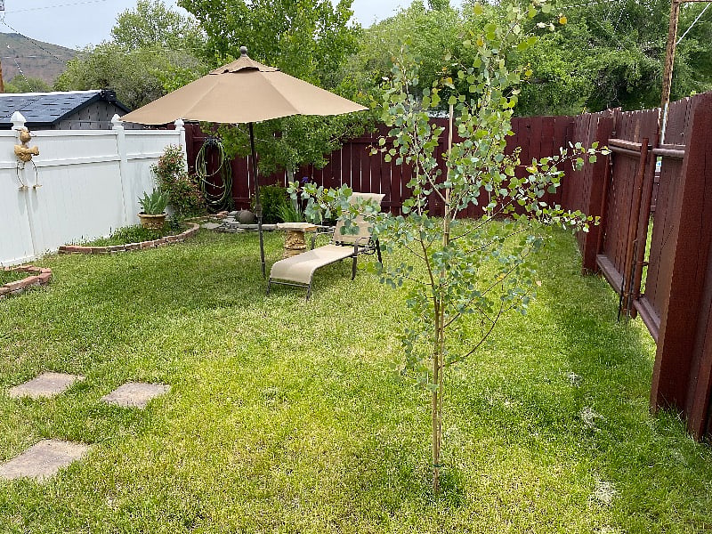 Furnished Finder property 457585_1 photo 13