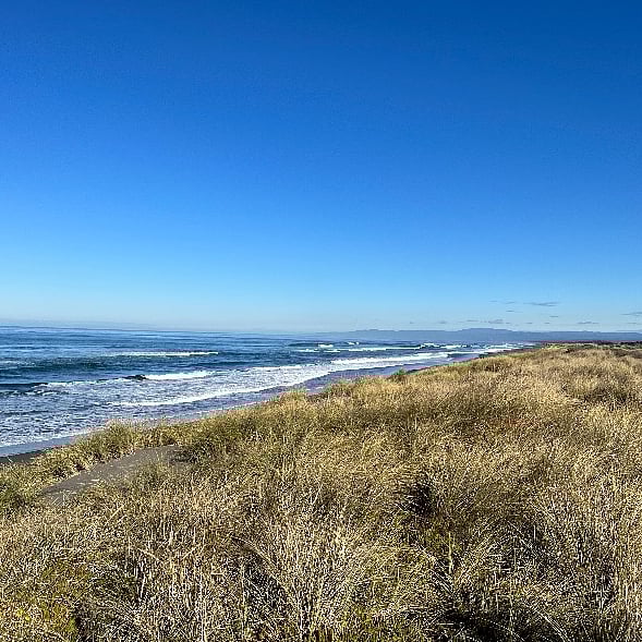 Miles of beach to explore.