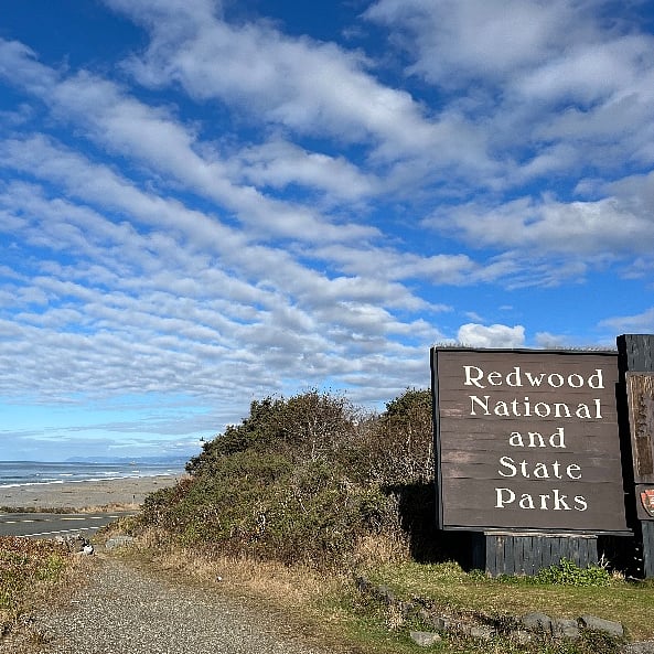 45 minutes away from Redwood National Park.