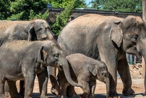 The Houston Zoo is less than 3 miles away and can be accessed by rail or bus line. 