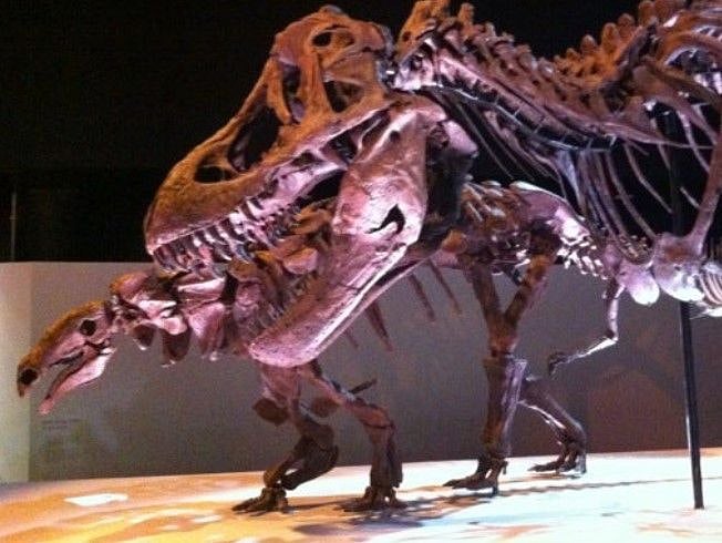 The Museum of Natural Science is less than 3 miles away.