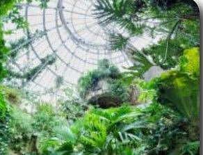 Explore our Cockrell Butterfly Exhibit with 3 story waterfall, located next to the Museum of Natural Science, only  minutes away.